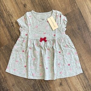 First Impressions Gray shirt dress with peppermint swirl lollipop Pattern